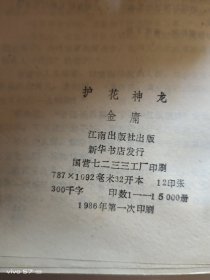 老武侠 护花神龙 上下