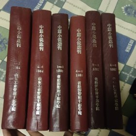 中篇小说选刊【84年全年、86年全年、87年全年 精装本】