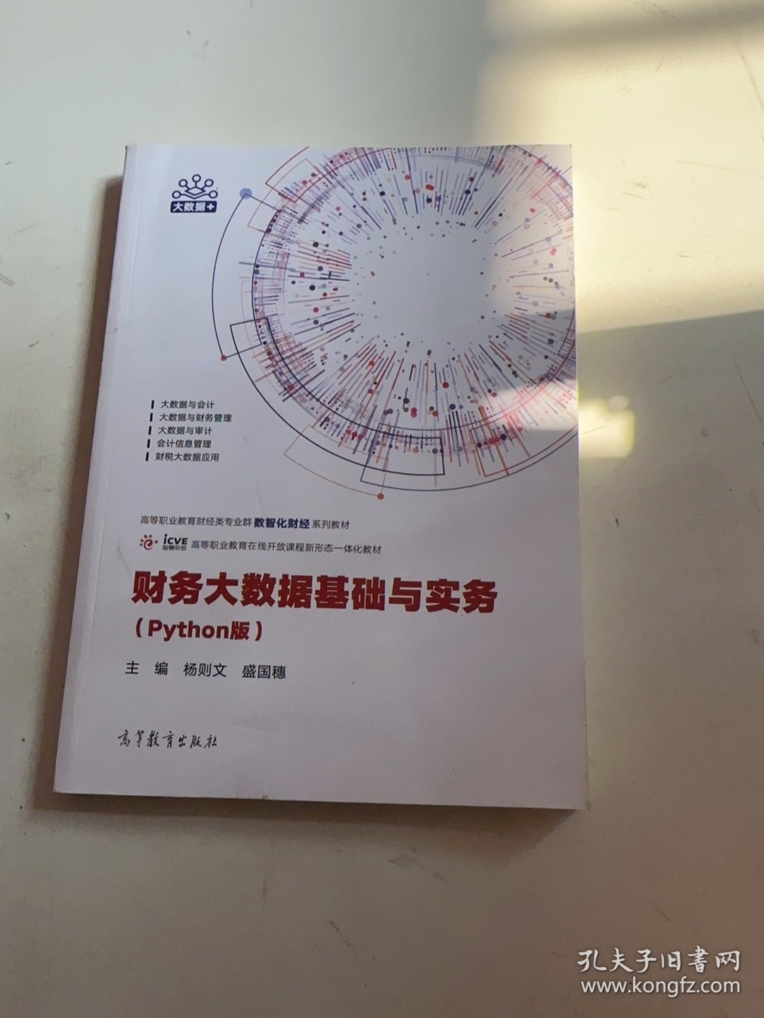 财务大数据基础与实务
