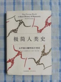 极简人类史：从宇宙大爆炸到21世纪