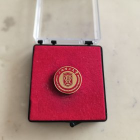 上海理工大学校徽徽章红色1