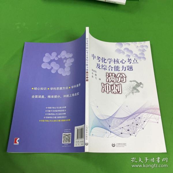 中考化学核心考点及综合能力题满分冲刺