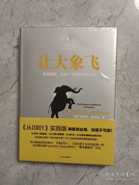 让大象飞:激进创新，让你一飞冲天的创业术