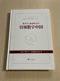 数字长三角战略2024引领数字中国