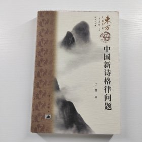 中国新诗格律问题（一版一印）正版现货