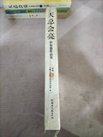 天总会亮（梦圆二〇二〇丛书）