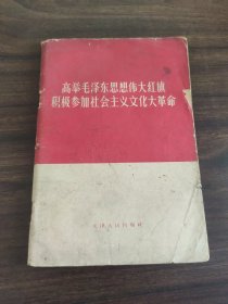 高举毛泽东思想伟大红旗积极参加社会主义文化大革命