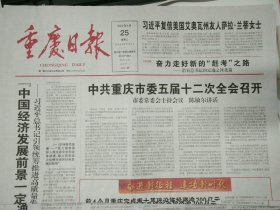 重庆日报2022年5月25日