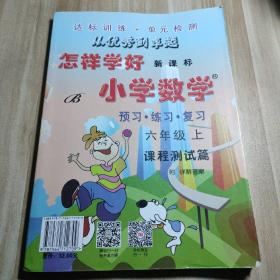 创维素质教学监测丛书：怎样学好小学数学课程测试篇+课程辅导篇（六年级上R新课标）