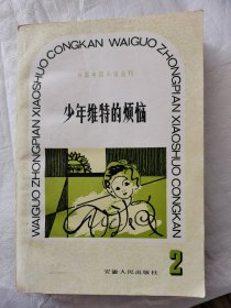 少年维特的烦恼