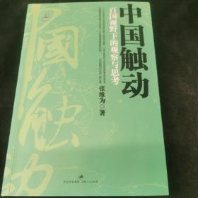 中国触动：百国视野下的观察与思考