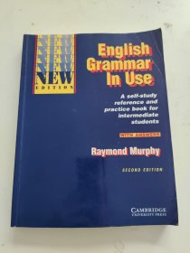 English Grammar in Use: A Self-Study Reference and Practice Book for Intermediate Students With Answers