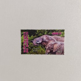 外国邮票 吉布提邮票2013年动物非洲象 新票1枚 如图