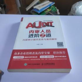 内审人员进阶之道 内部审计操作实务与案例解析