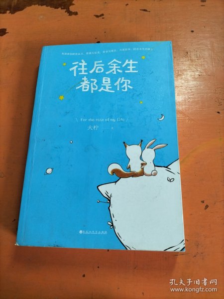 往后余生都是你