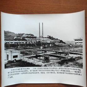 超大尺寸：1985年，日本东京南多摩污水处理厂