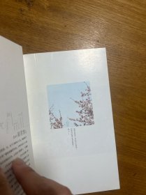 8分钟的温暖