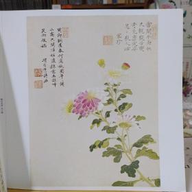 赏饰:明人小品花卉精品