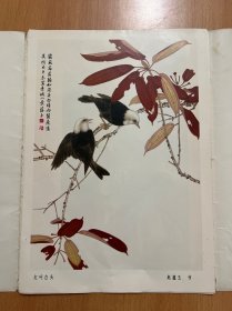 蜀中名胜第一集共12张