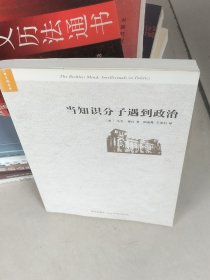 当知识分子遇到政治