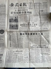 安徽日报：1958年5月12日