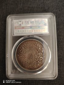 袁大头 十年