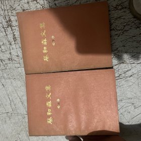 蔡和森文集
