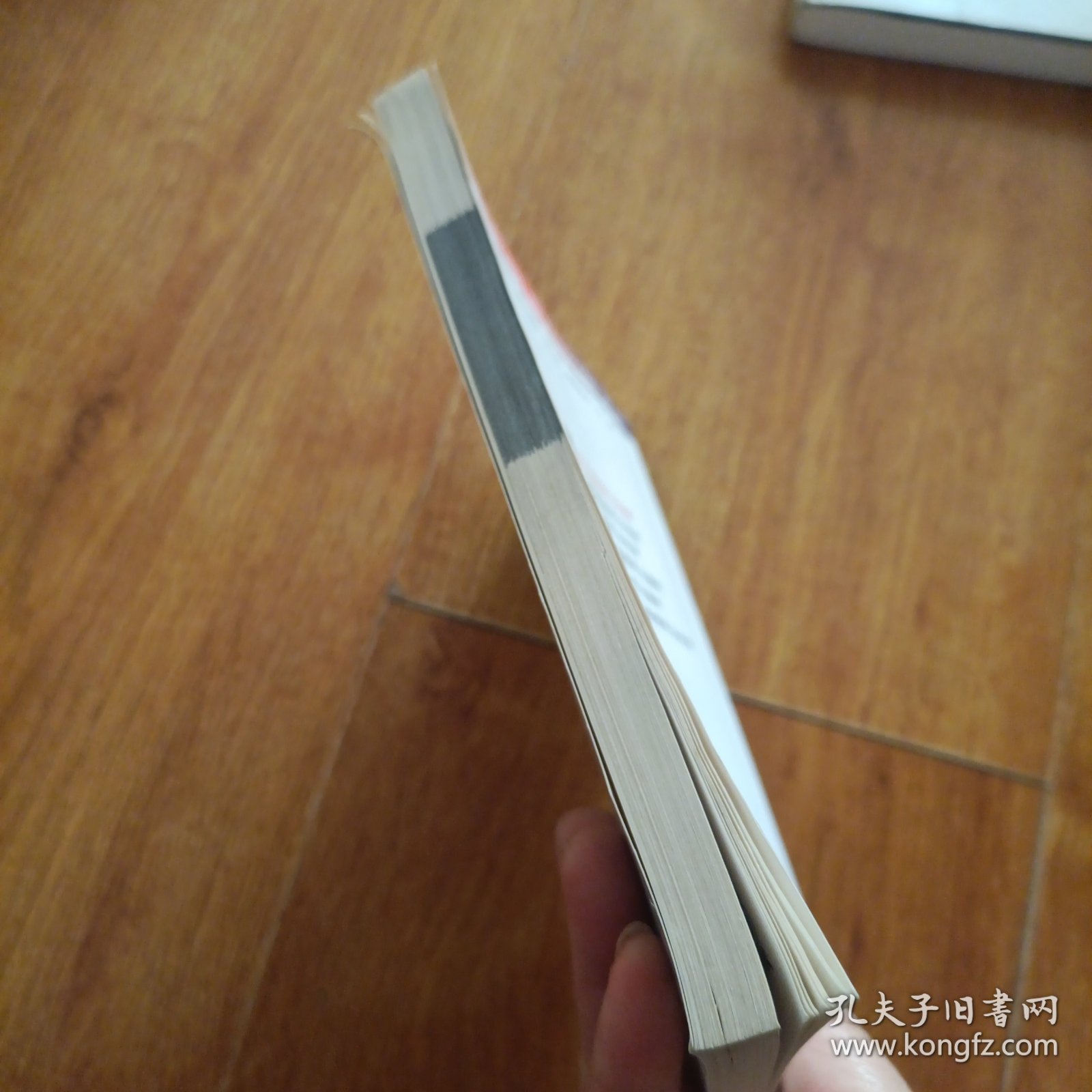 宝贝狗饲养与训练