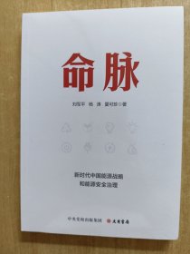 命脉：新时代中国能源战略和能源安全治理