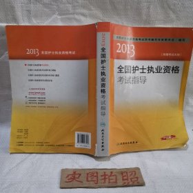 2013全国护士执业资格考试指导