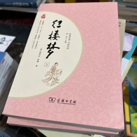 红楼梦 四大名著 新课标 足本典藏 无障碍阅读 注音解词释疑 全2册