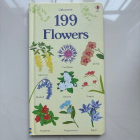 199 Flowers 英语原版 199种花类 Usborne儿童科普绘本 鲜花百科