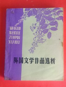 外国文学作品选析