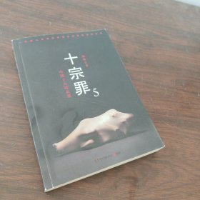 十宗罪5：中国十大凶杀案