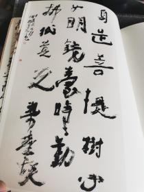 当代五人书法展作品集 （王镛 石开 刘正成 沃兴华 胡抗美），工本费190元。平装八开，113页。特价138！