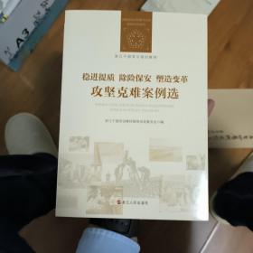 稳进提质 除险保安 塑造变革 攻坚克难案例选