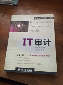 IT审计