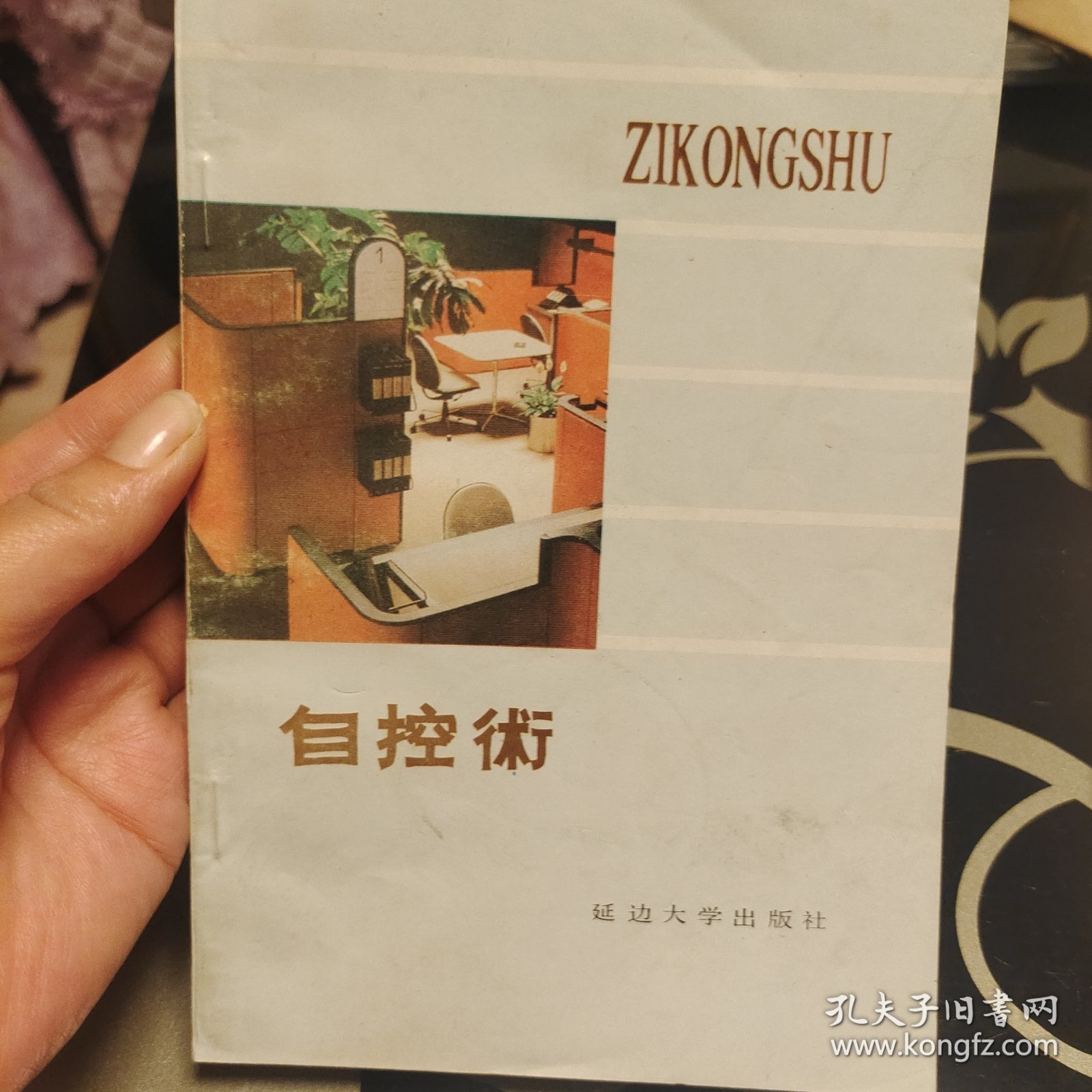 自控术 史宪文著，1989年5月延边大学出版社，正版现货，保存完好，爱书人藏书