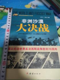 战争纪实 非洲沙漠大决战