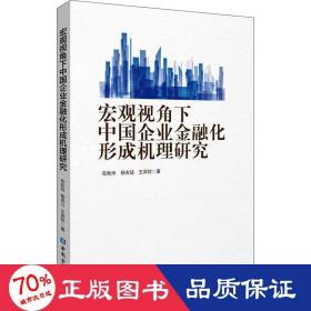 宏观视角下中国企业金融化形成机理研究 财政金融 花秋玲,杨吉喆,王羿钦