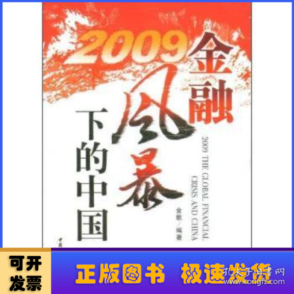 2009金融风暴下的中国