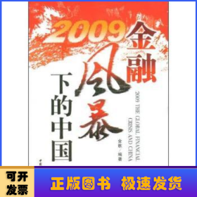 2009金融风暴下的中国