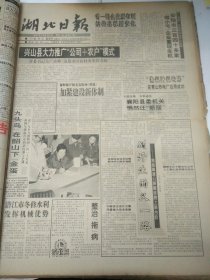 湖北日报1994年1月6日