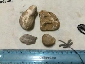 半玉化石头？