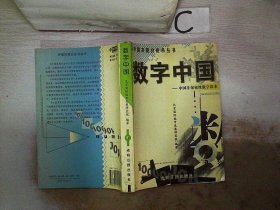 数字中国:中国非保密性数字读本、。