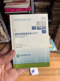 国际能源数据手册2021  （64开）