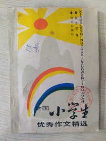 全国小学生优秀作文精选