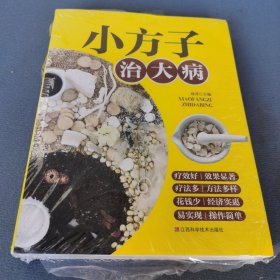 小方子治大病 中医书籍养生偏方大全民间老偏方美容养颜常见病防治 保健食疗偏方秘方大全小偏方老偏方中医健康养生保健疗法