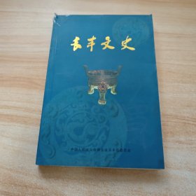 长丰县志