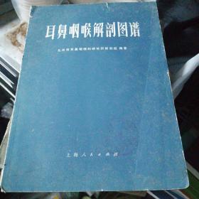 耳鼻咽喉解剖图谱